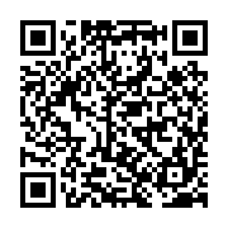QR code for FJ9294