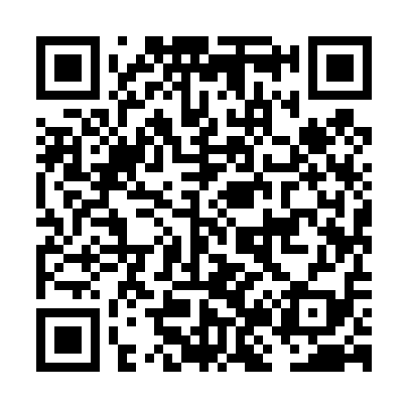 QR code for FJ9419
