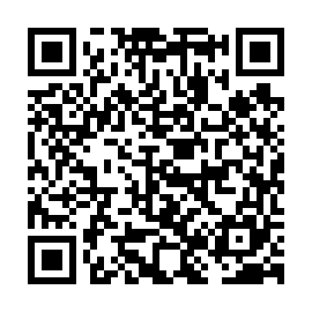 QR code for FJ9665