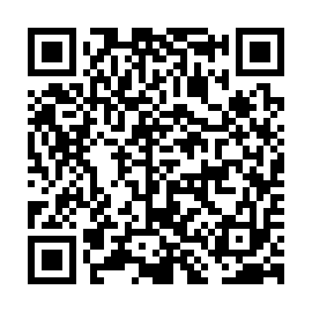 QR code for FL3313