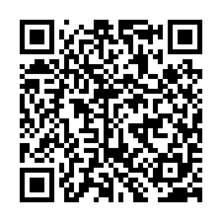 QR code for FL5295