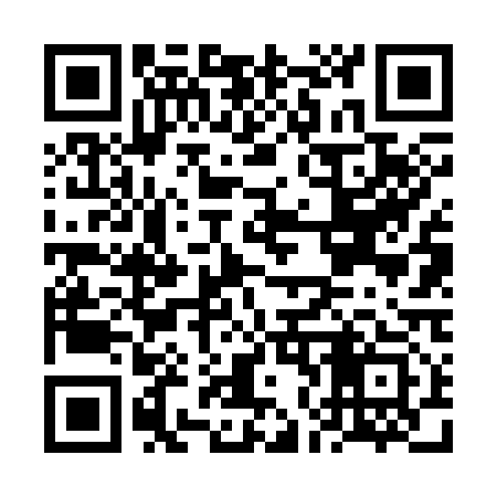 QR code for FN6313