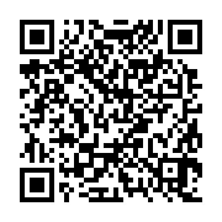 QR code for FR3382