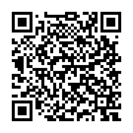 QR code for FS0161