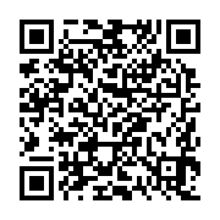 QR code for FS0391