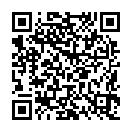 QR code for FS9383