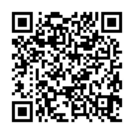 QR code for FT3981