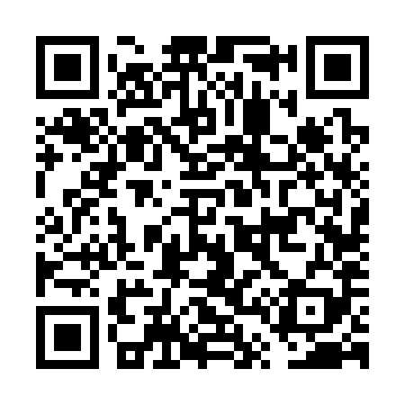 QR code for FT6389