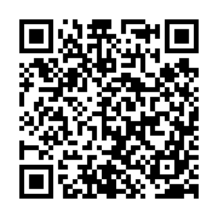 QR code for FT6667
