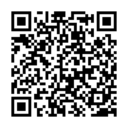 QR code for FT9301
