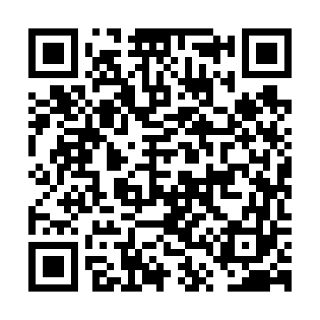 QR code for FT9663