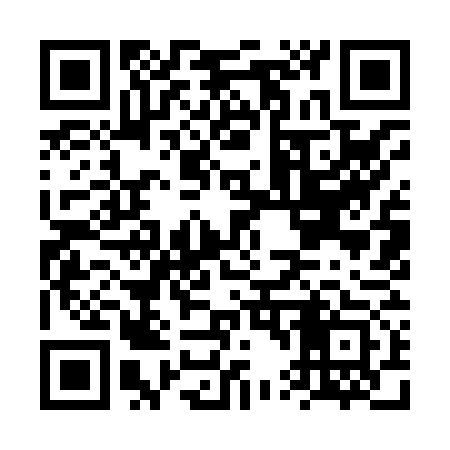 QR code for FT9873