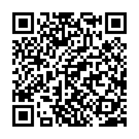 QR code for FV0029