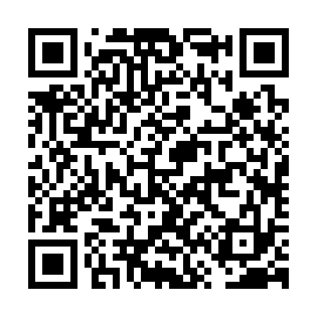 QR code for FV2333