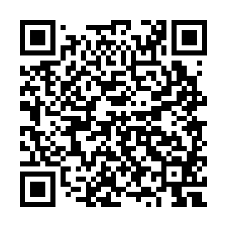 QR code for FY0384
