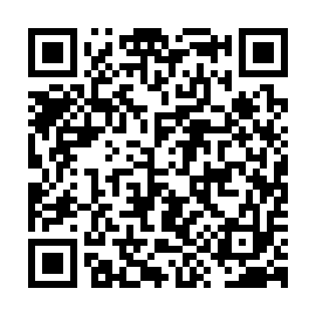 QR code for FY1313
