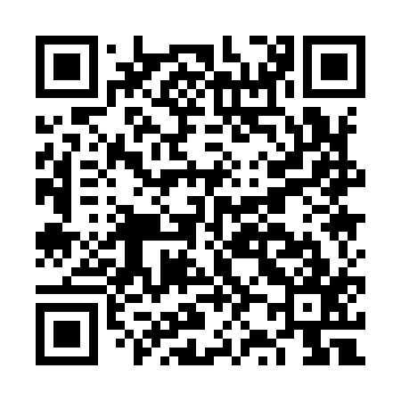 QR code for FZ1917
