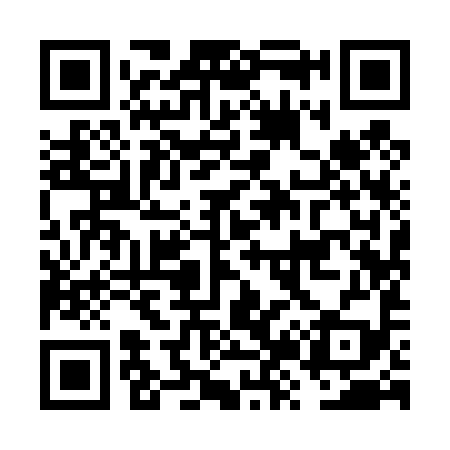 QR code for FZ9499