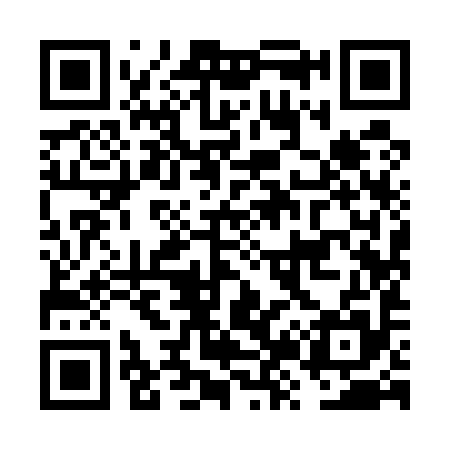 QR code for FZ9595