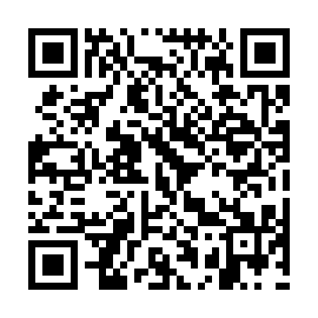 QR code for GA0311