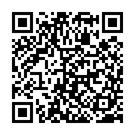 QR code for GC9541