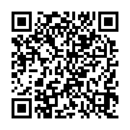 QR code for GG0313