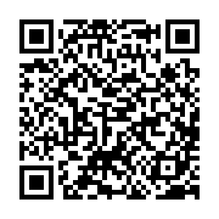 QR code for GG0381