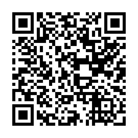 QR code for GG2291