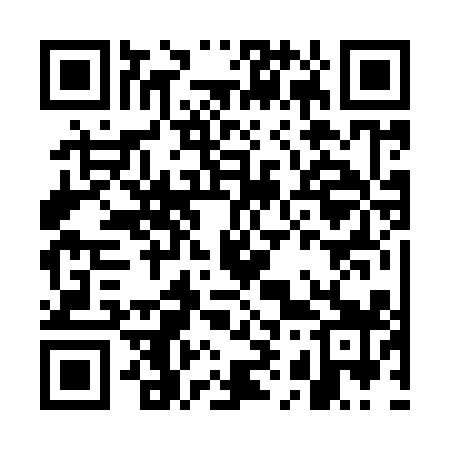QR code for GI2919