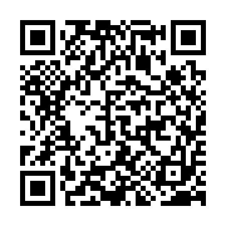 QR code for GI3313