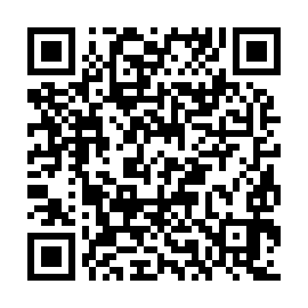 QR code for GM3993