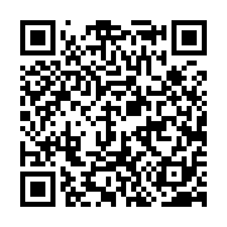 QR code for GO4911