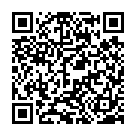 QR code for GO6633