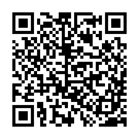 QR code for GP2383