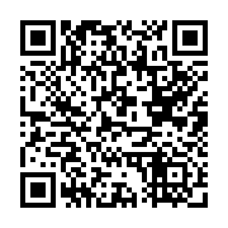 QR code for GP3313