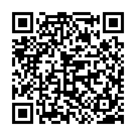 QR code for GS2334
