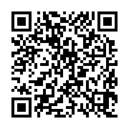 QR code for GS6383