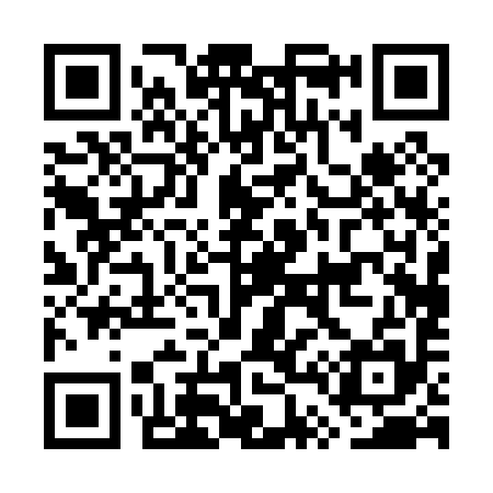 QR code for GT0095