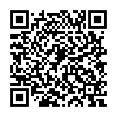 QR code for GT0113