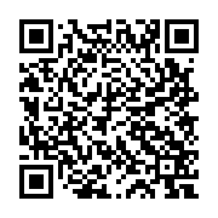 QR code for GT0163