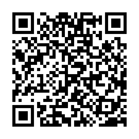 QR code for GT0339