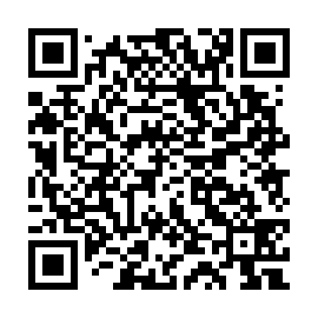 QR code for GT0739