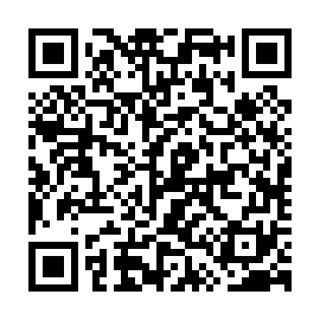 QR code for GT2071
