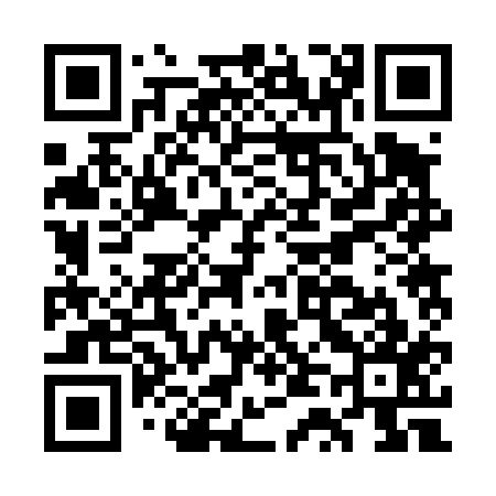 QR code for GT2417