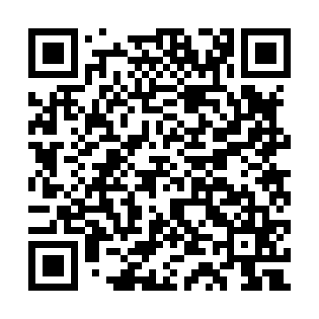 QR code for GT2865