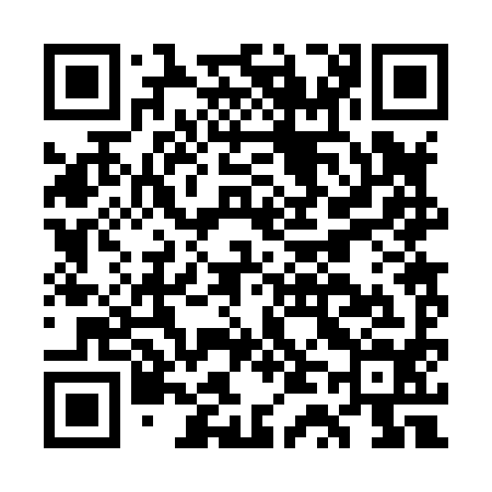 QR code for GT2894