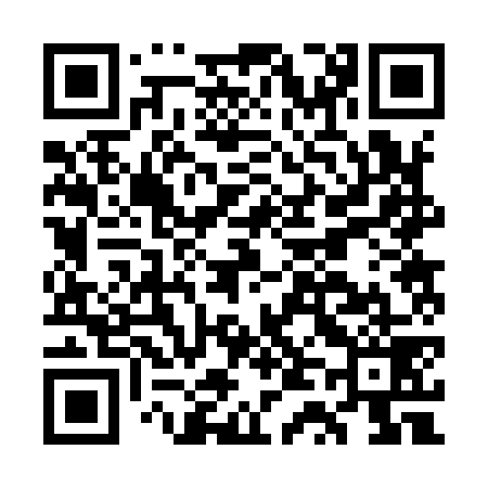 QR code for GT2979
