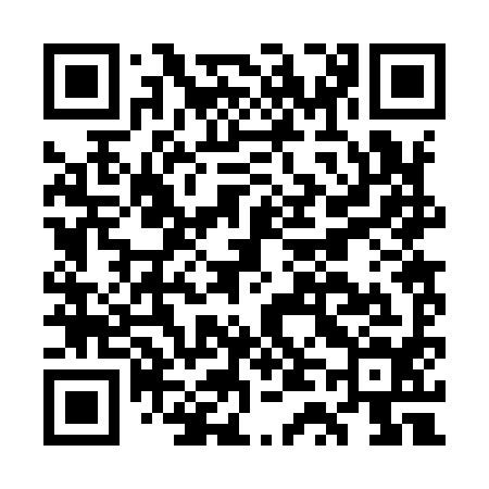 QR code for GT2994