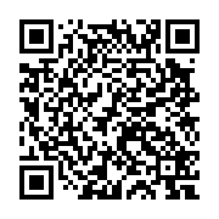QR code for GT3029