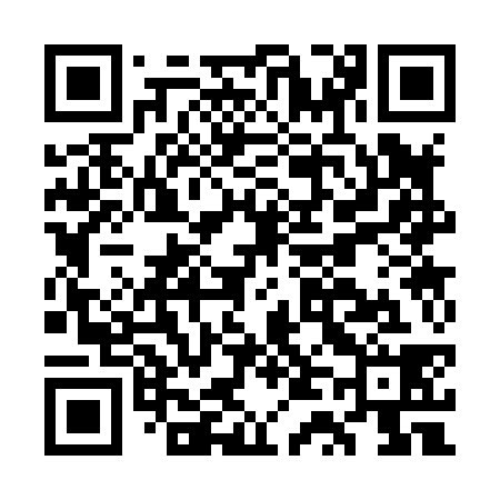 QR code for GT3838